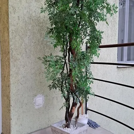 Apartment Eper